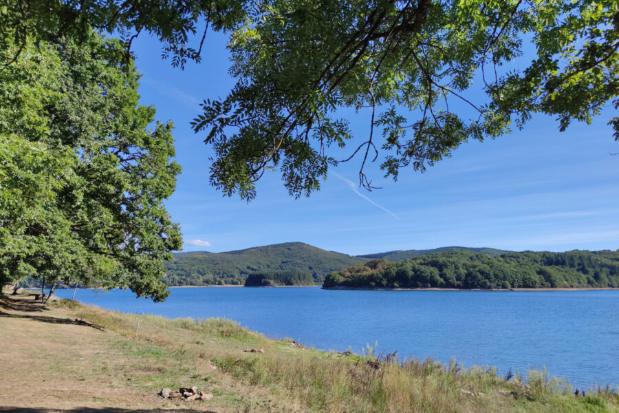 Terrain à vendre à La salvetat-sur-agout — Vue lac — photo 15
