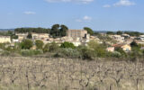 Terrain à vendre à Popian — Vue vignes — photo 6