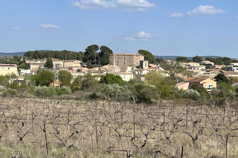 Terrain à vendre à Popian — Vue vignes — photo 6