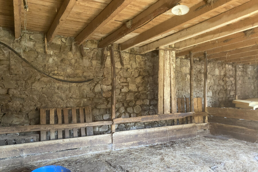 Maison à vendre à Borée — Vue nature — photo 11