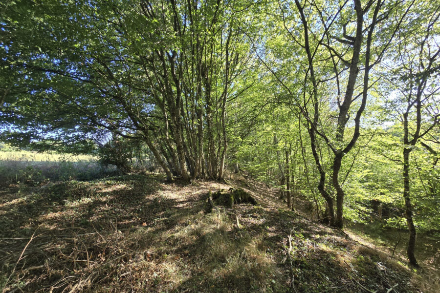 Terrain à vendre à Cernoy-en-berry — Vue nature — photo 8