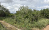 Terrain à vendre à Florensac — Vue nature — photo 4