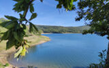 Terrain à vendre à La salvetat-sur-agout — Vue lac — photo 2