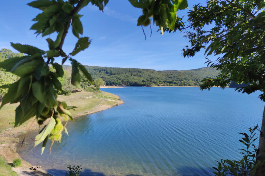 Terrain à vendre à La salvetat-sur-agout — Vue lac — photo 2
