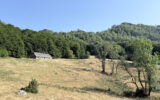 Maison à vendre à Arrens-marsous — Vue montagne — photo 11
