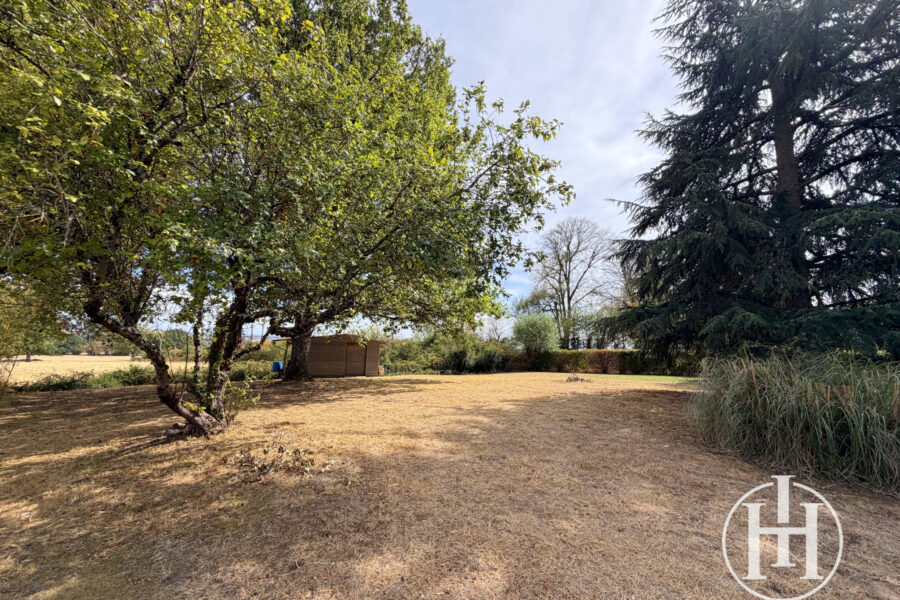 Maison à vendre à Saint-pierre-les-Étieux — Vue nature — photo 12