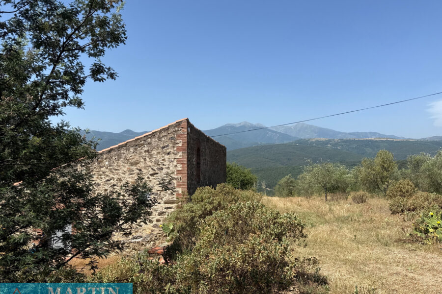 Maison à vendre à Calmeilles — Vue montagne — photo 1