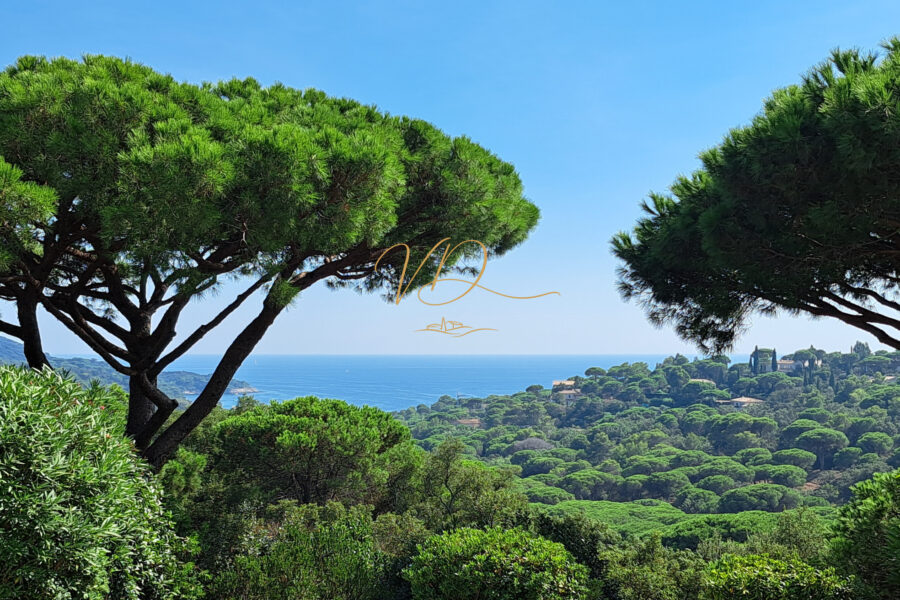 Maison à vendre à La croix-valmer — Vue mer — photo 14