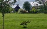 Terrain à vendre à Anceaumeville — Vue dégagée — photo 5