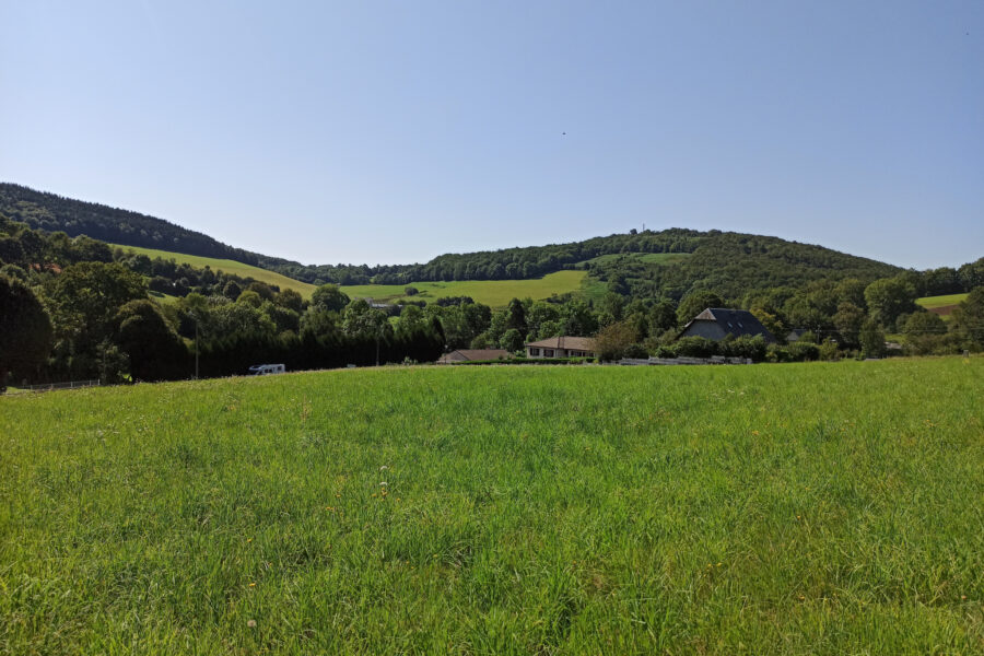 Terrain à vendre à La salvetat-sur-agout — Vue lac — photo 12
