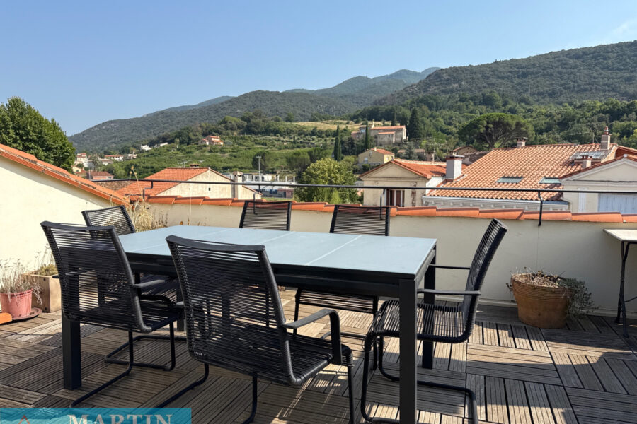 Maison à vendre à Céret — Vue montagne — photo 20