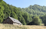 Maison à vendre à Arrens-marsous — Vue montagne — photo 12