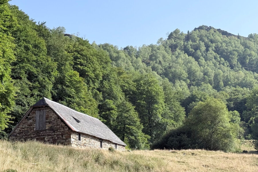 Maison à vendre à Arrens-marsous — Vue montagne — photo 12