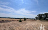 Maison à vendre à Cérilly — Vue nature — photo 11