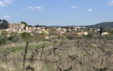 Terrain à vendre à Popian — Vue vignes — photo 7