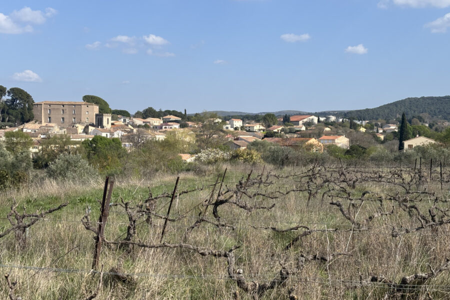 Terrain à vendre à Popian — Vue vignes — photo 7