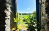 Maison à vendre à Loubès-bernac — Vue vignes — photo 15