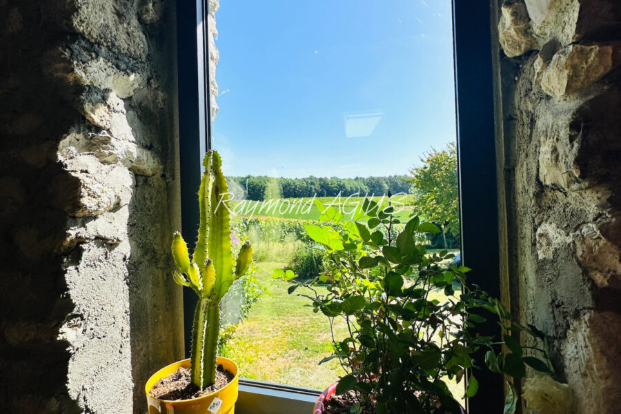 Maison à vendre à Loubès-bernac — Vue vignes — photo 15