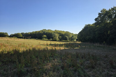 Terrain à vendre à Cernoy-en-berry
