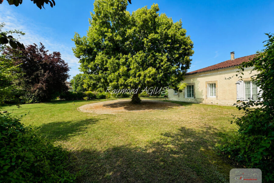 Maison à vendre à Saint-Émilion — Vue lac — photo 5