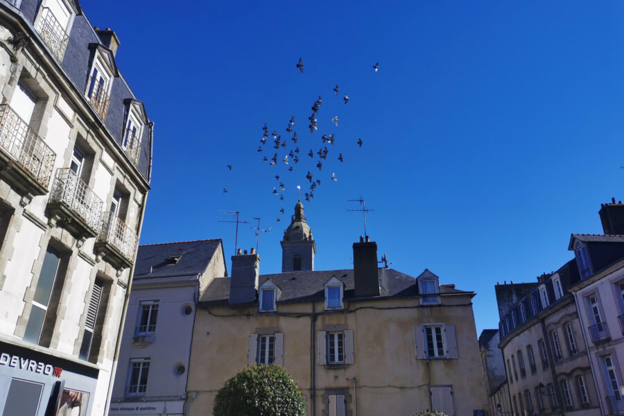 Appartement à vendre à Vannes — Vue sur la ville — photo 9