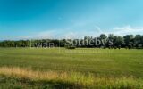 Maison à vendre à Lully — Vue nature — photo 16