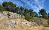 Terrain à vendre à Figanières — Vue nature — photo 12