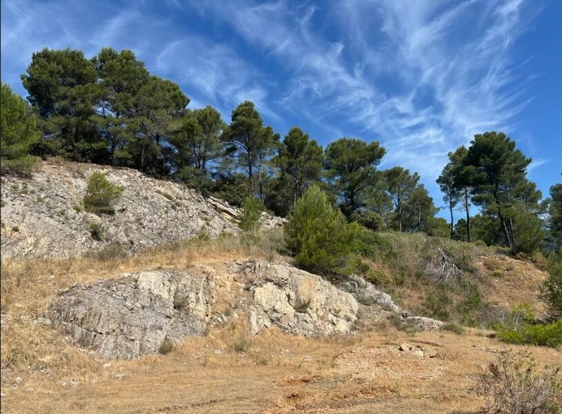 Terrain à vendre à Figanières — Vue nature — photo 12