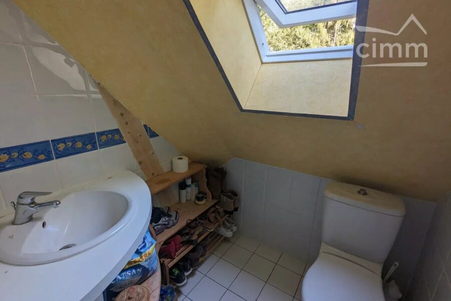 Maison à vendre à Nort-sur-erdre — Vue parc & jardin — photo 19