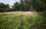 Terrain à vendre à Sermaize-les-bains — Vue dégagée — photo 1