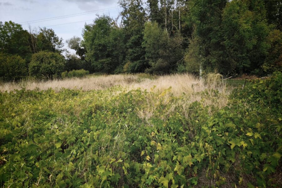 Terrain à vendre à Sermaize-les-bains — Vue dégagée — photo 1