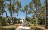 Maison à vendre à Montpellier — Vue nature — photo 14