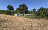 Terrain à vendre à Daux — Vue nature — photo 6