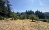 Maison à vendre à Thiolières — Vue montagne — photo 8