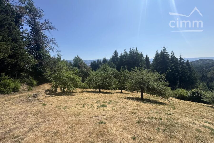Maison à vendre à Thiolières — Vue montagne — photo 8