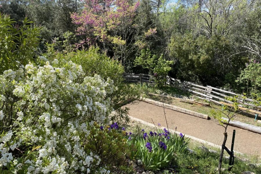 Maison à vendre à Lorgues — Vue nature — photo 12