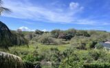 Appartement à vendre à Le gosier — Vue nature — photo 1