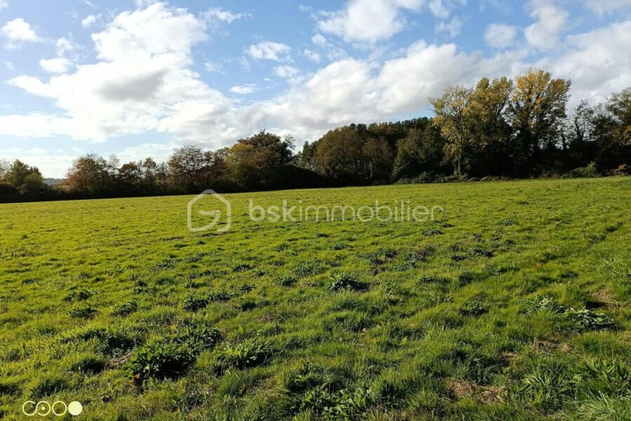 Terrain à vendre à Aire sur l adour — Vue nature — photo 2