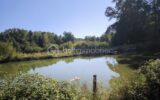 Terrain à vendre à La porcherie — Vue nature — photo 1