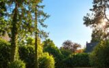 Terrain à vendre à Chelles — Vue dégagée — photo 1