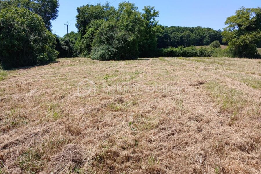 Terrain à vendre à Marciac — Vue nature — photo 2