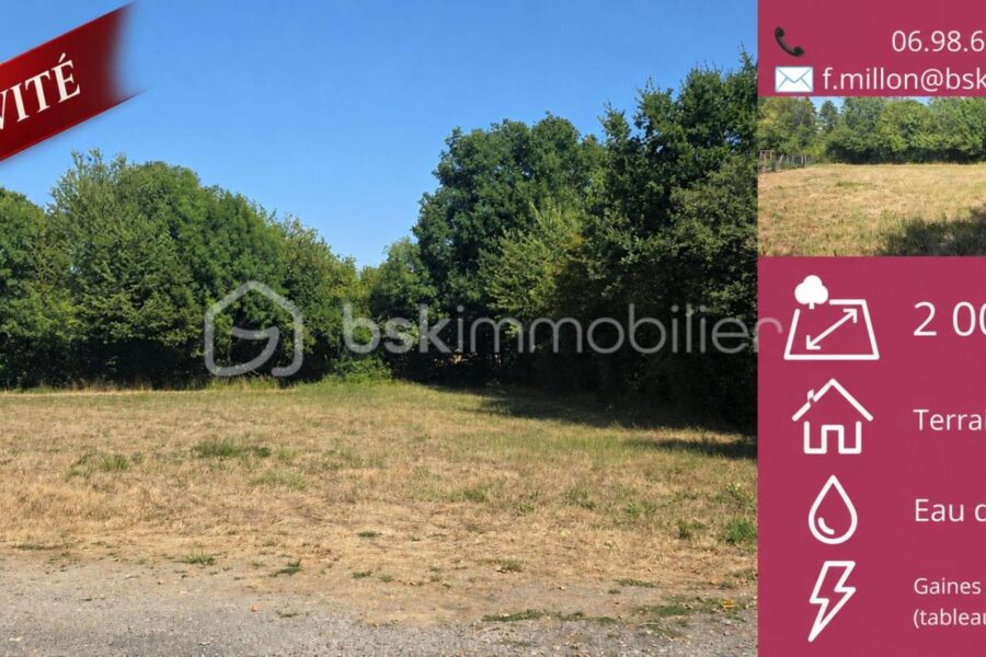 Terrain à vendre à Saint amand sur sevre — Vue nature — photo 2