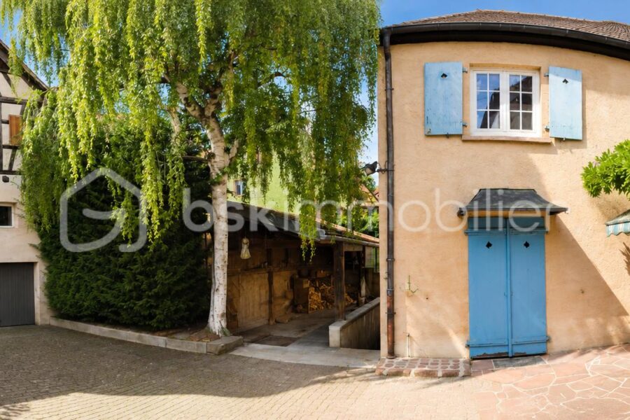 Maison à vendre à Riquewihr — Vue nature — photo 2