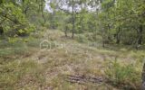 Terrain à vendre à Oraison — Vue dégagée — photo 2