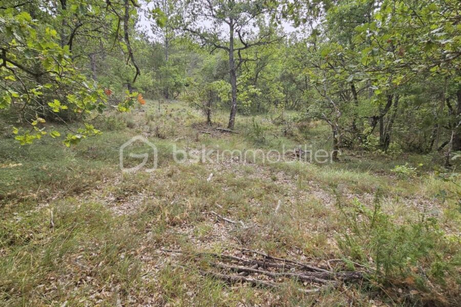 Terrain à vendre à Oraison — Vue dégagée — photo 2