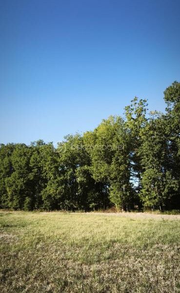 Terrain à vendre à Montdurausse — Vue dégagée — photo 1