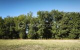 Terrain à vendre à Monclar de quercy — Vue dégagée — photo 1