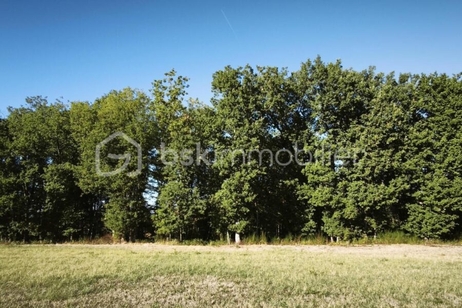 Terrain à vendre à Monclar de quercy — Vue dégagée — photo 1