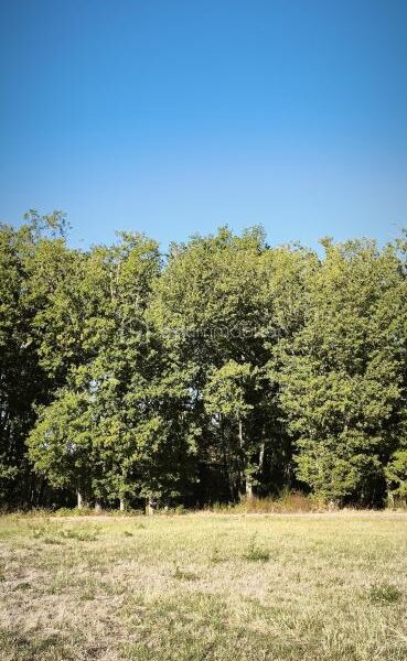 Terrain à vendre à Monclar de quercy — Vue dégagée — photo 1