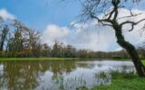 Terrain à vendre à Montsurs — Vue lac — photo 2